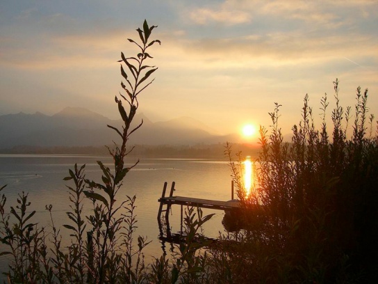 Angeln im Abendlicht an vielen Seen im Allgäu